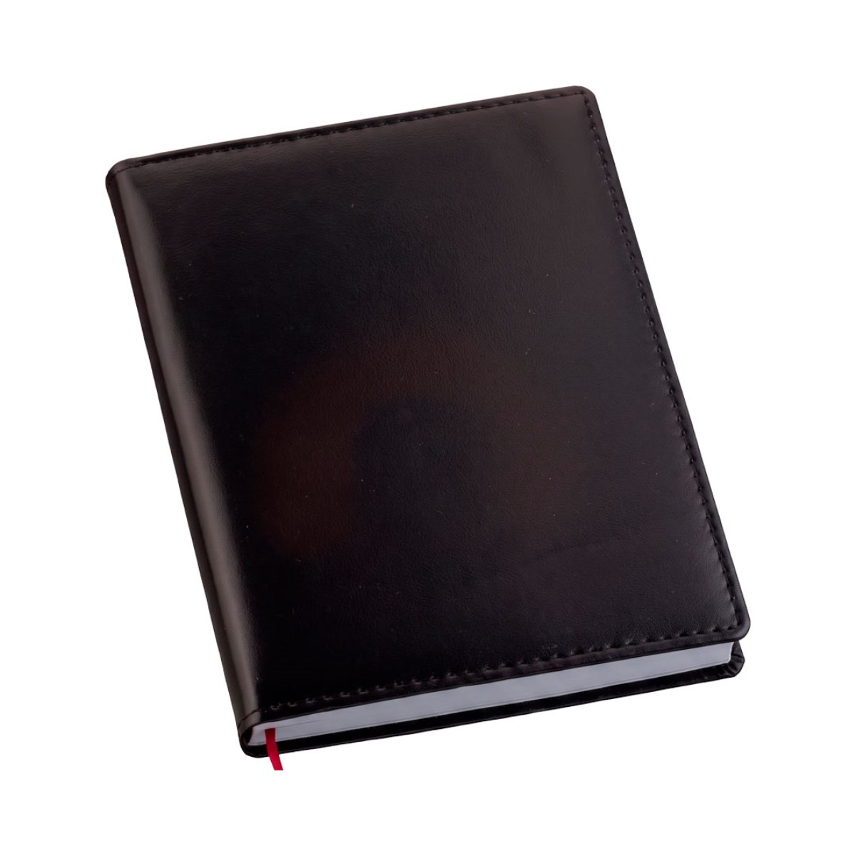 Agenda Lisa Preta