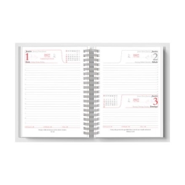 >Miolo de Agenda Diária Wire-o